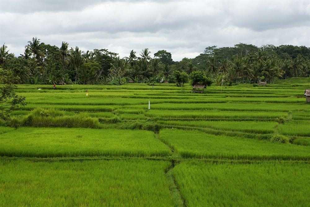 The Ubud Village Resort & Spa Exterior foto